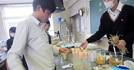 食品加工実習・微生物実践課題研究の様子1